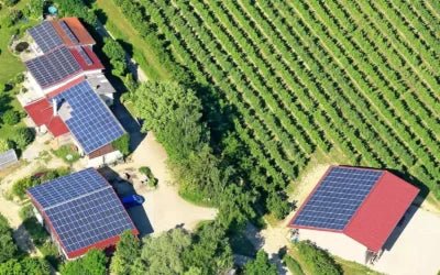 Unveiling the Pros and Cons of Water Pumps – Electric, Solar, and Diesel - Lorentz Australia