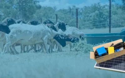 You Can Now Buy LORENTZ “S” Directly Online from LORENTZ Australia - Lorentz Australia