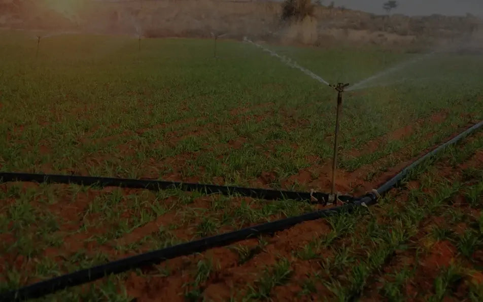 Irrigation Solar Pump