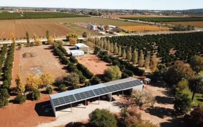 4 Ways LORENTZ Helps Fruit and Vegetable Growers Become More Sustainable - Lorentz Australia