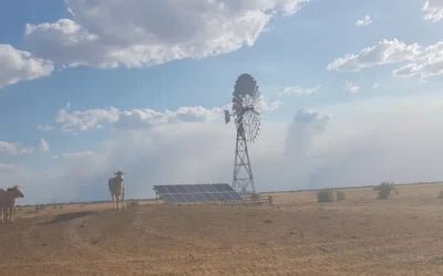 Changing Climate, Changing Technology: Why Windmill Water Pumps are Fading in Australia - Lorentz Australia