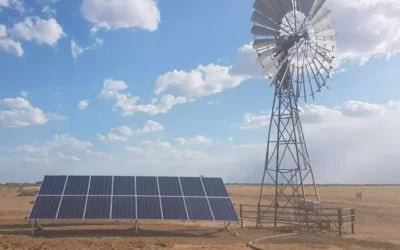 Efficient Watering Solutions for Livestock using Solar Pumps - Lorentz Australia