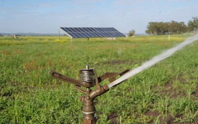 How Does a Solar Pump Work? - Lorentz Australia