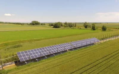 Solar Pumps: The Future of Water Management in Agriculture - Lorentz Australia