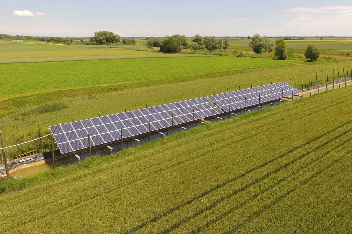 Choosing the Right Solar Pump: A Farmer's Guide to Selecting the Ideal System