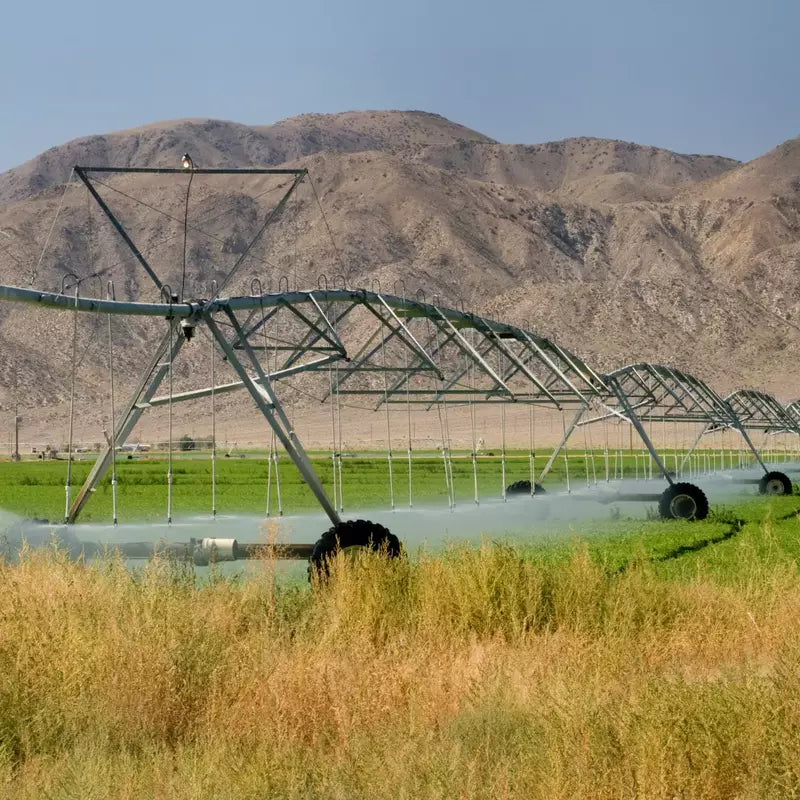 Irrigation Solar Pump Products